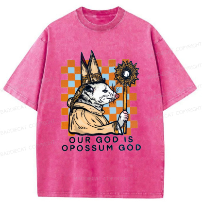 Baddiecat God Of The Possum Washed T-shirt
