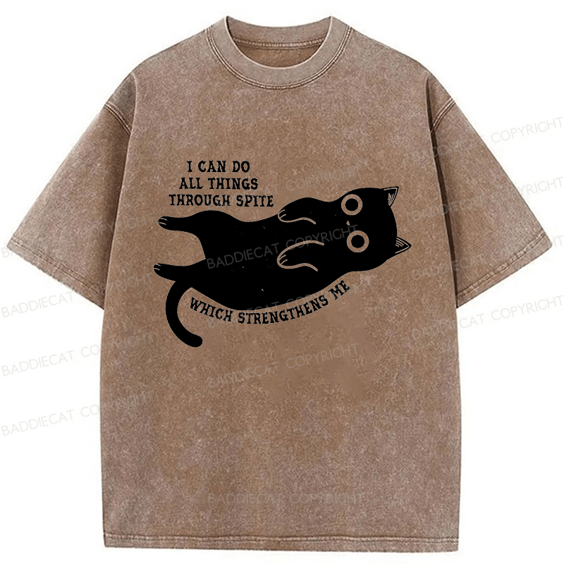 Baddiecat I Can Do All Things Spiteful Cat Washed T-shirt
