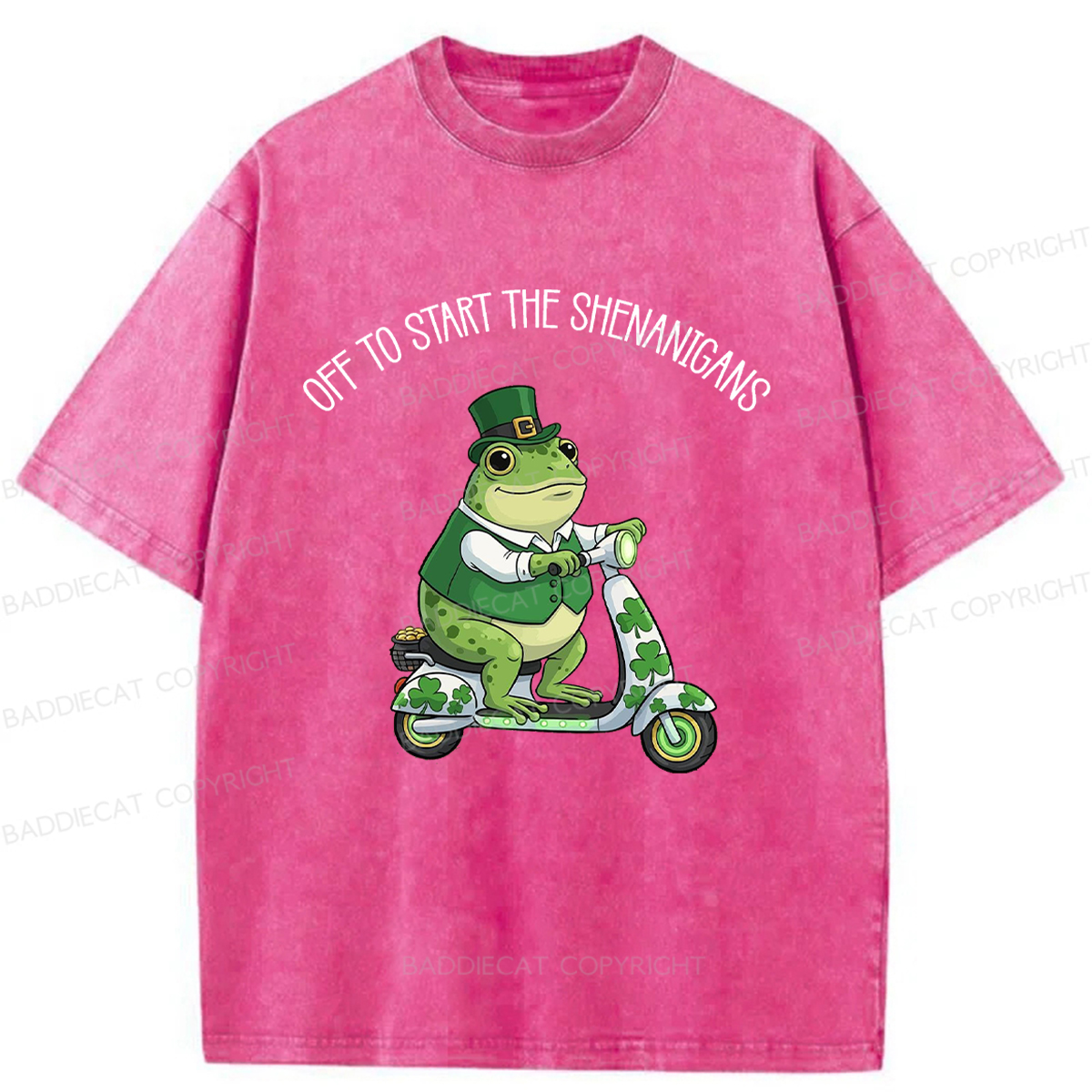 Baddiecat Off To Start The Shenanigans Washed T-shirt