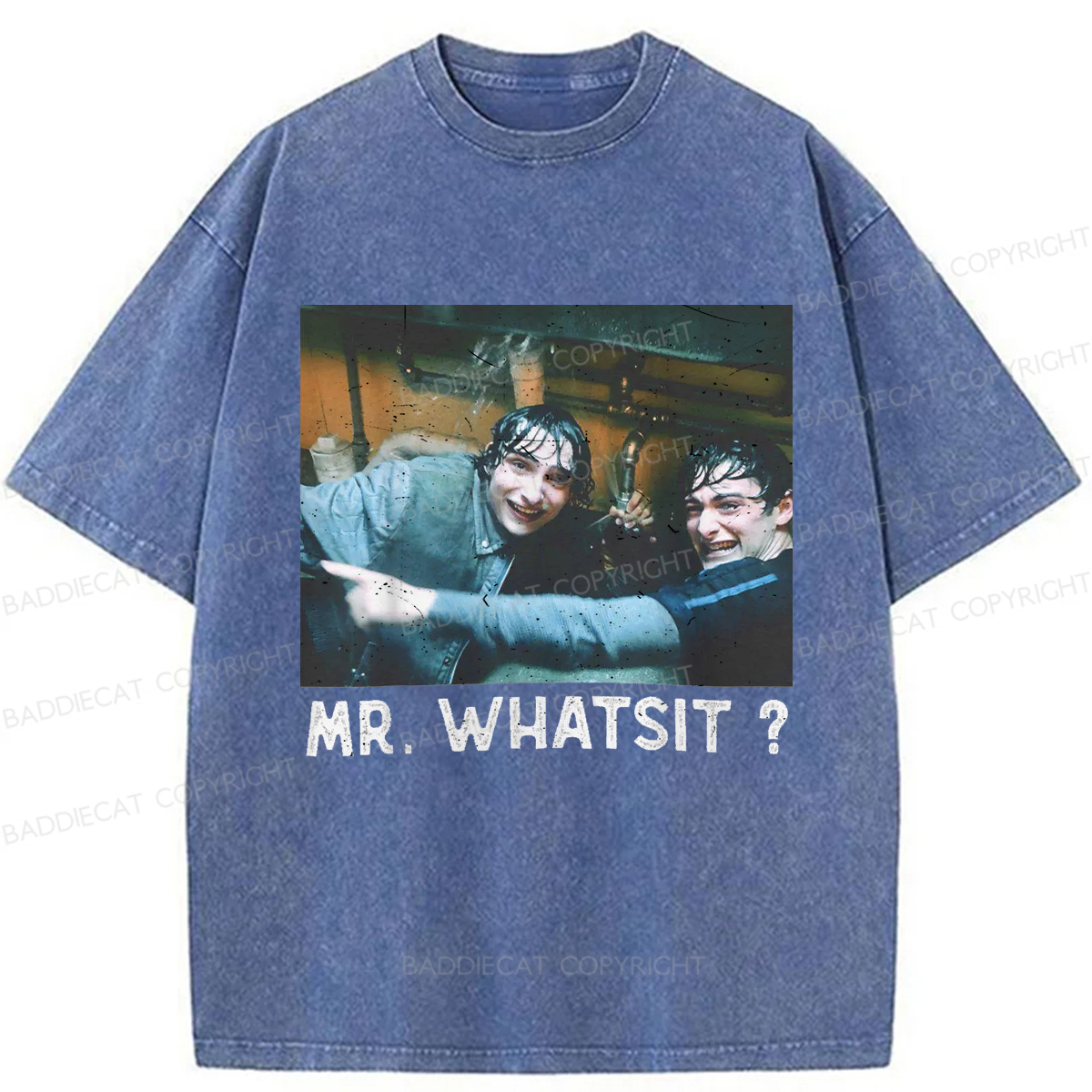 Baddiecat Funny Quote Tee Washed T-shirt