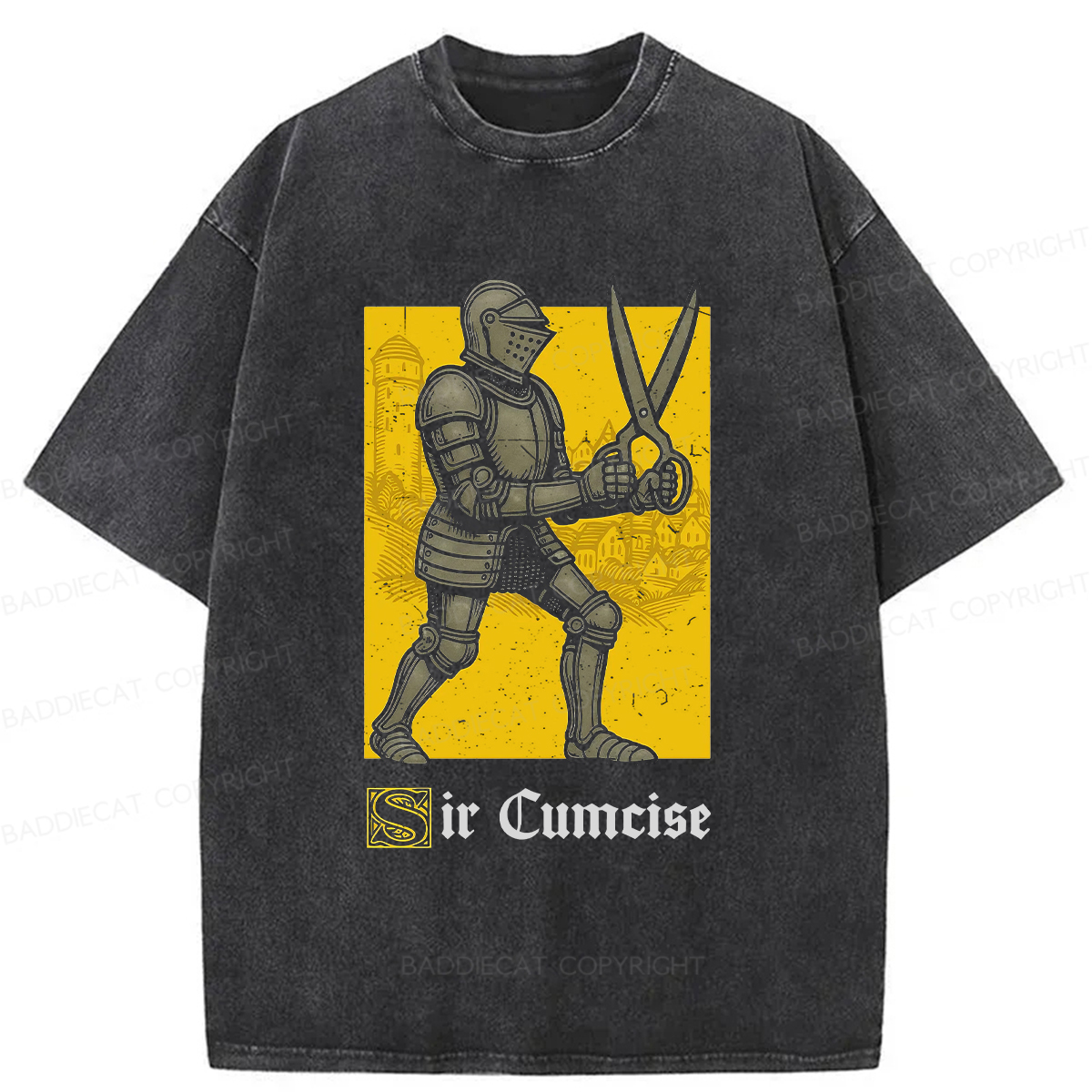 Baddiecat Humor Knight Washed T-shirt