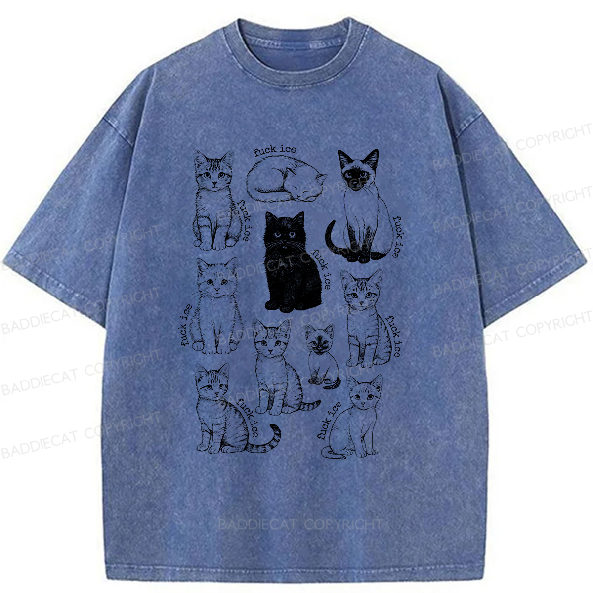 Baddiecat Don't Have Ice Cube Cats Washed T-shirt