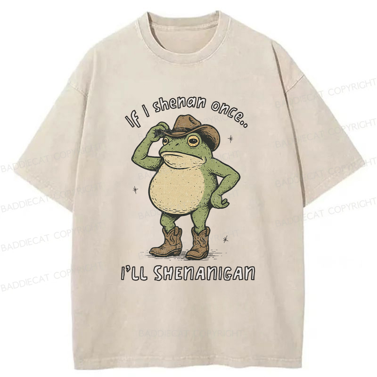 Baddiecat If I Shenan Once I'll Shenanigan Washed T-shirt