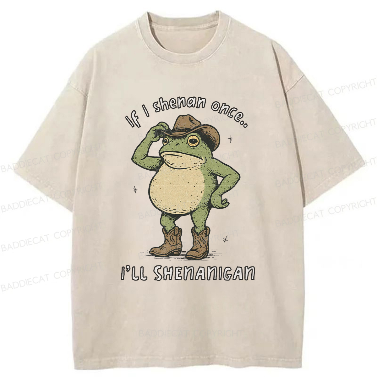 Baddiecat If I Shenan Once I'll Shenanigan Washed T-shirt