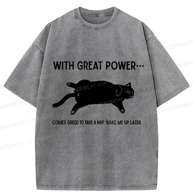 Baddiecat The Cat Is Sleeping In Washed T-shirt