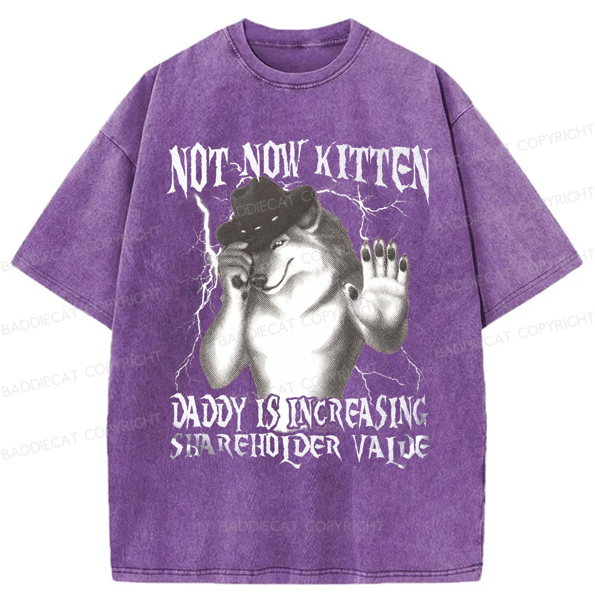 Baddiecat Not Now Kitten Daddy Increasing Shareholder Value Washed T-shirt