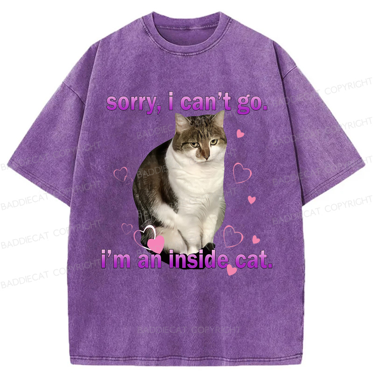 Baddiecat I'm An Inside Cat Washed T-shirt