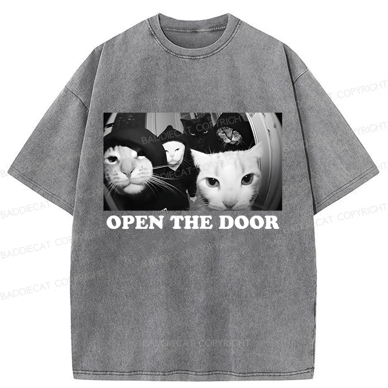 Baddiecat Sarcastic Cat Meme Washed T-shirt