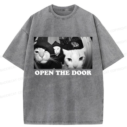 Baddiecat Sarcastic Cat Meme Washed T-shirt