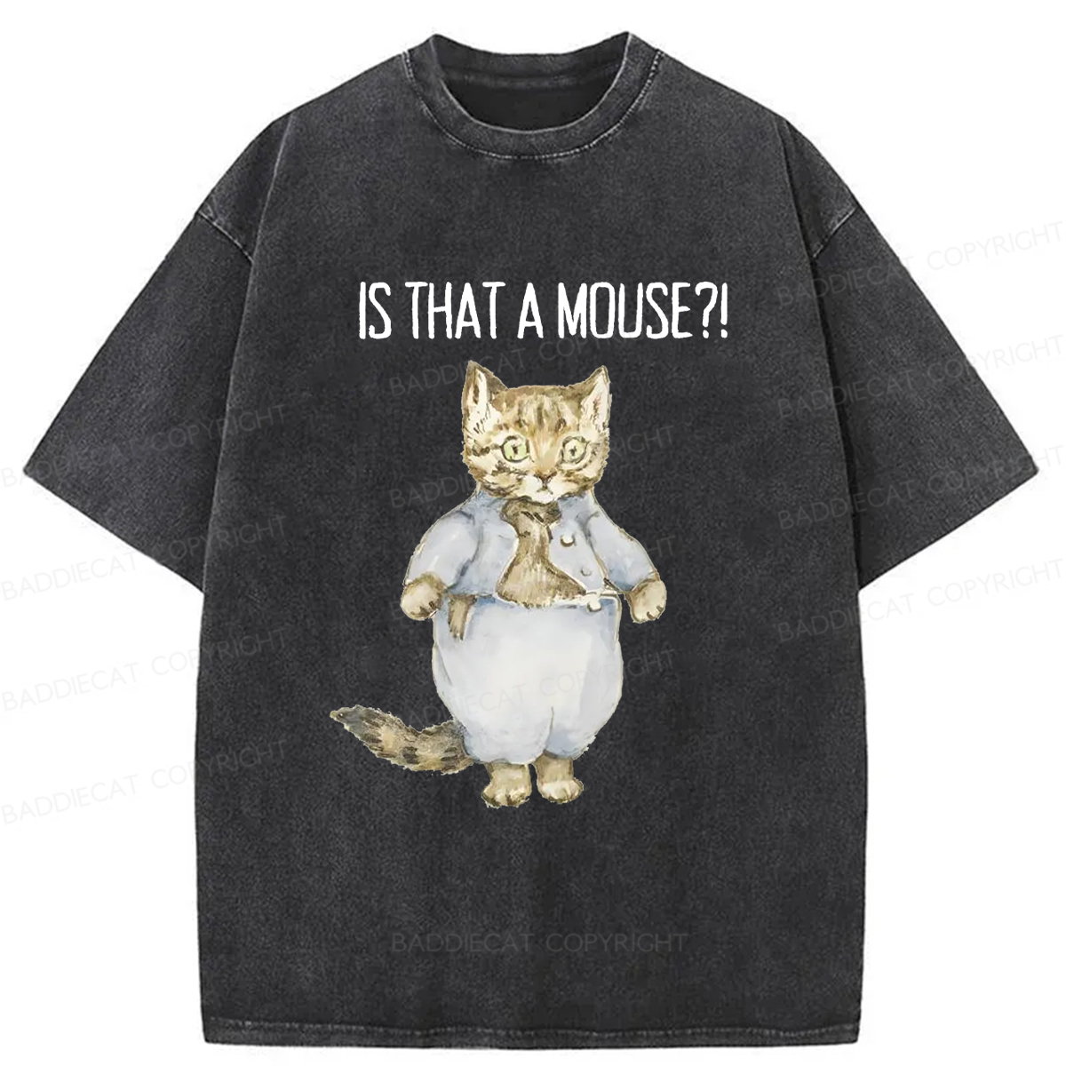 Baddiecat Startled Cat Washed T-shirt