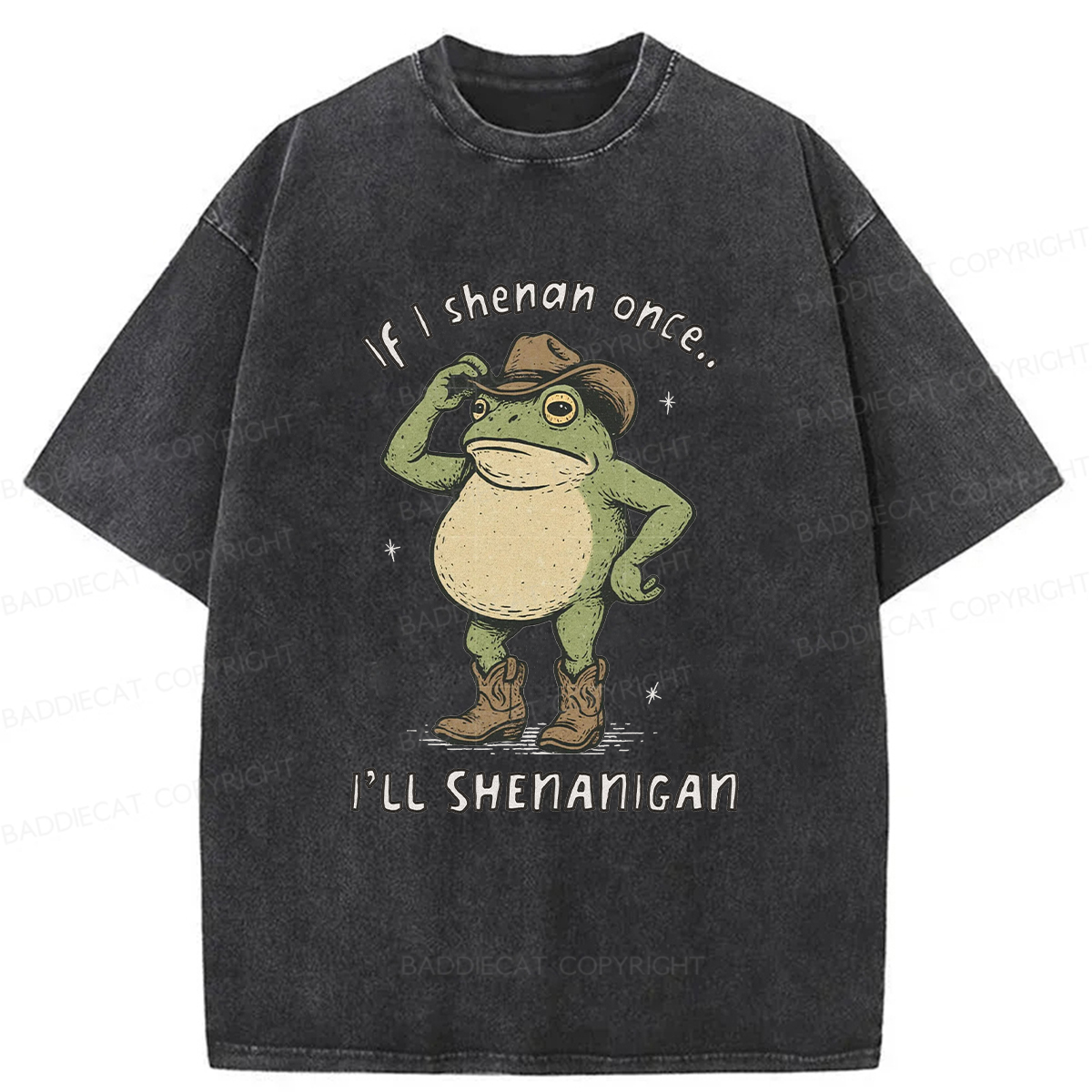 Baddiecat If I Shenan Once I'll Shenanigan Washed T-shirt