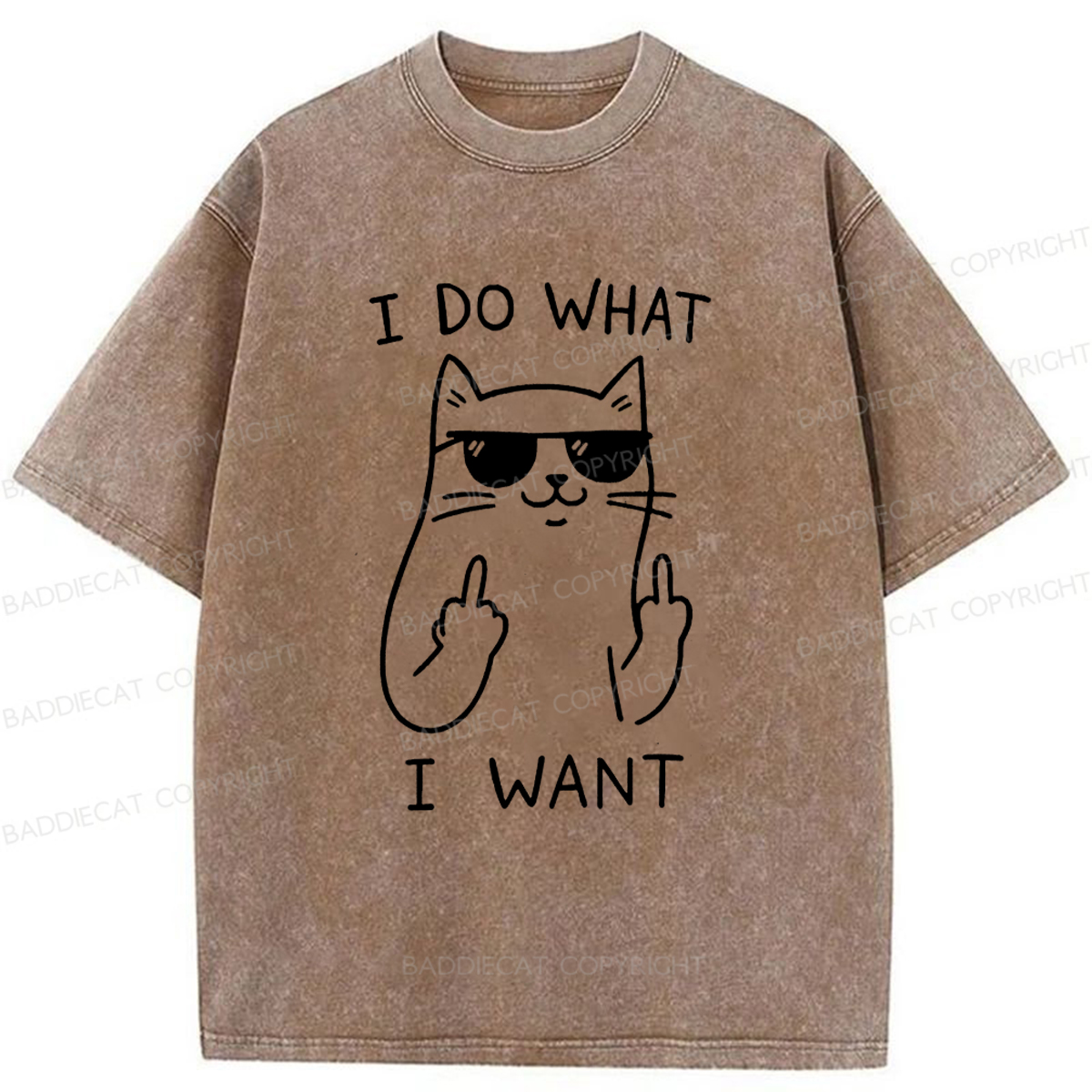 Baddiecat Cool Cat Washed T-shirt
