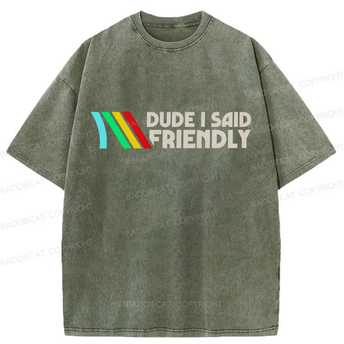Baddiecat Dude I Said Friendly Washed T-shirt
