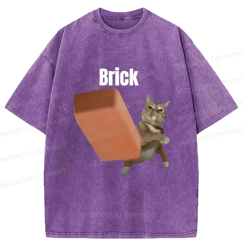Baddiecat Brick Washed T-shirt