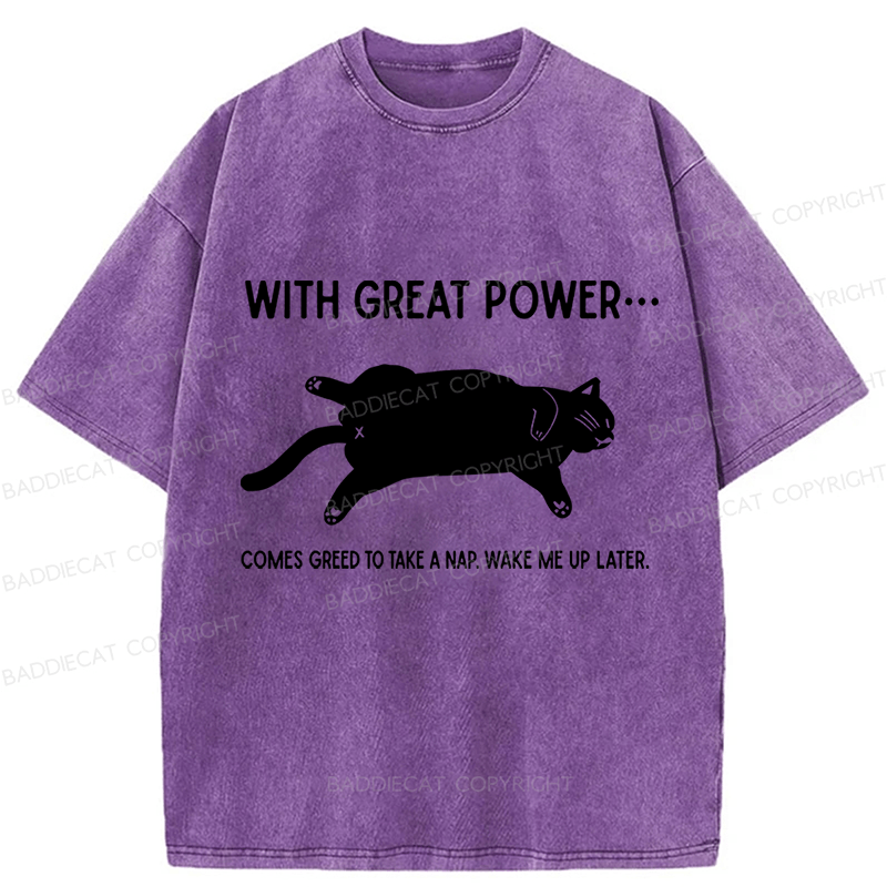Baddiecat The Cat Is Sleeping In Washed T-shirt