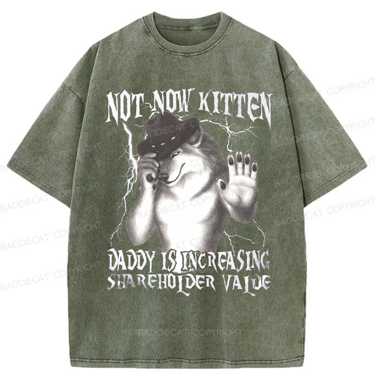 Baddiecat Not Now Kitten Daddy Increasing Shareholder Value Washed T-shirt