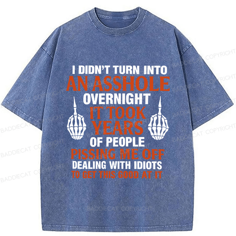 Baddiecat Funny Slogans Washed T-shirt