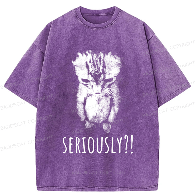 Baddiecat Seriously Cat Washed T-shirt