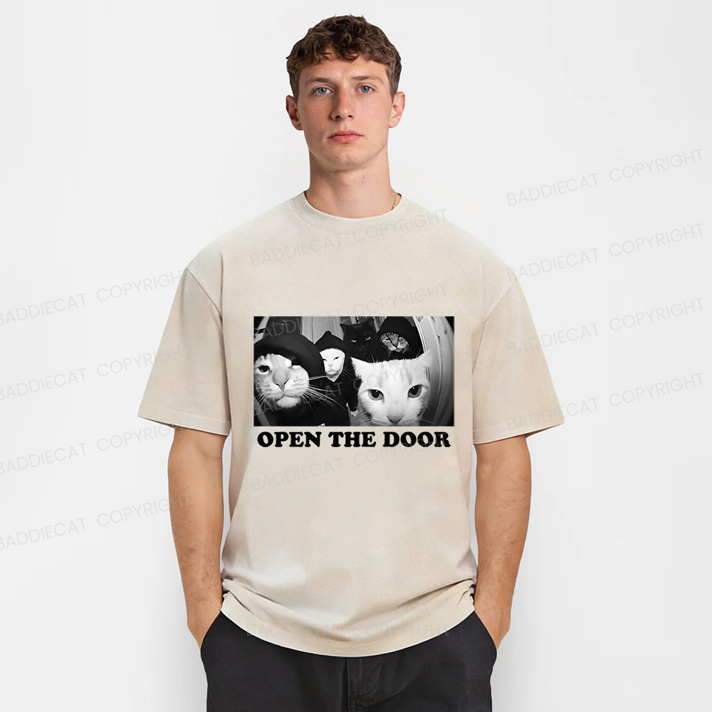 Baddiecat Sarcastic Cat Meme Washed T-shirt