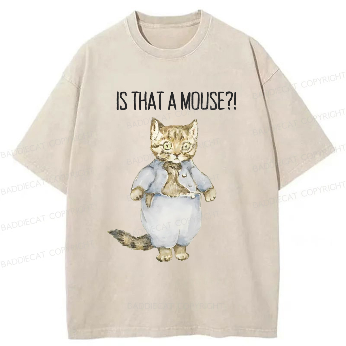 Baddiecat Startled Cat Washed T-shirt