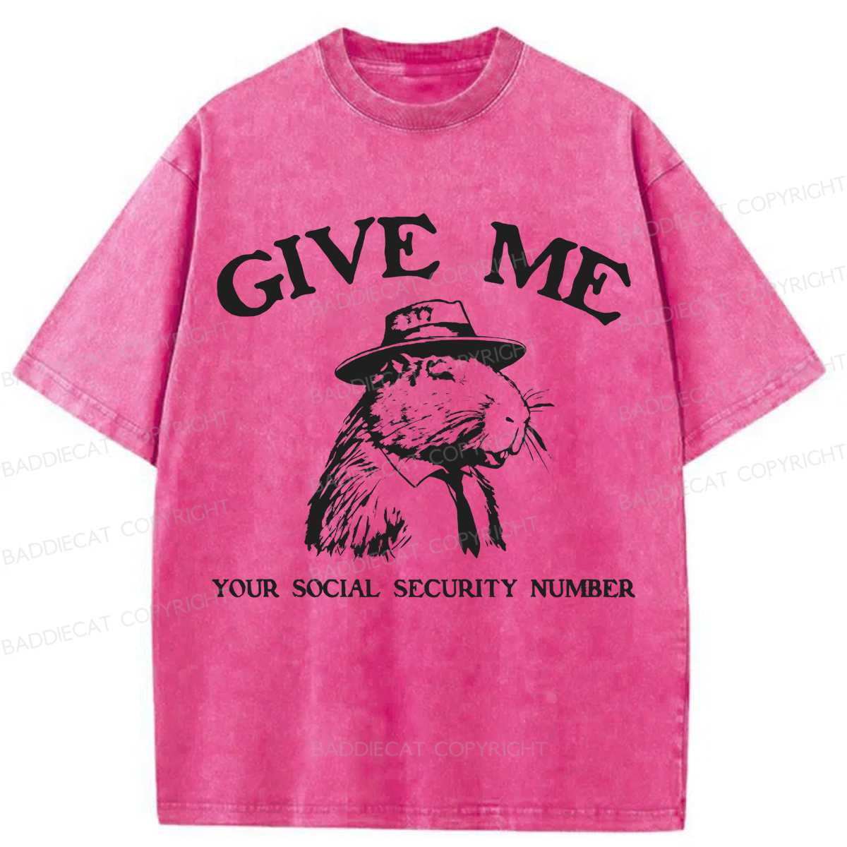 Baddiecat Give Me Capybara Washed T-shirt