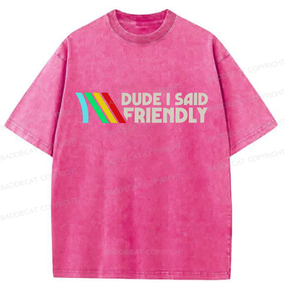 Baddiecat Dude I Said Friendly Washed T-shirt