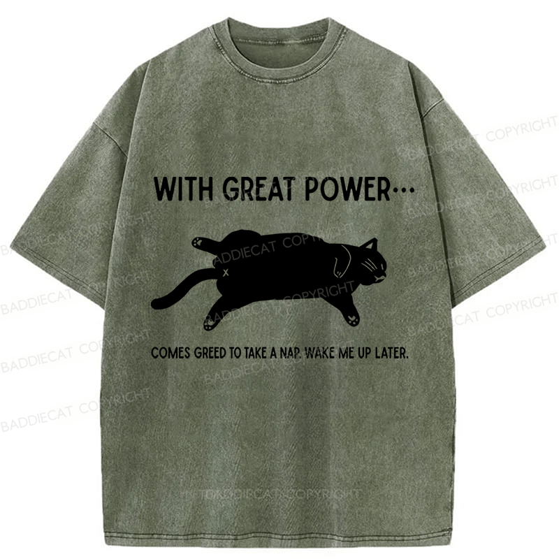 Baddiecat The Cat Is Sleeping In Washed T-shirt