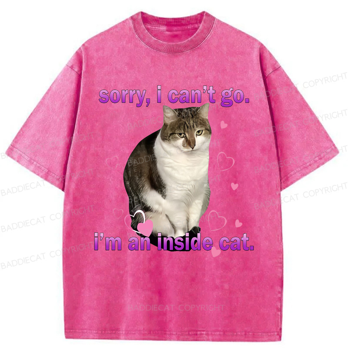 Baddiecat I'm An Inside Cat Washed T-shirt