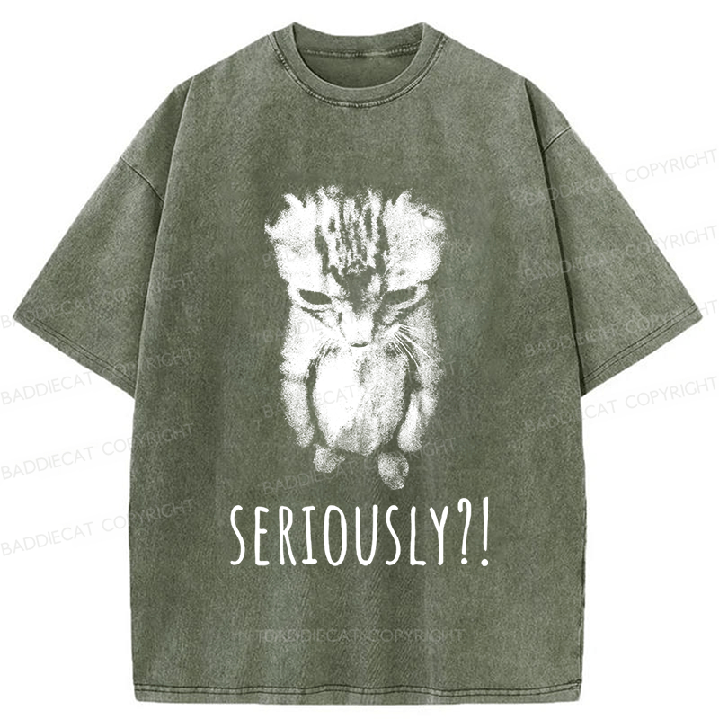 Baddiecat Seriously Cat Washed T-shirt
