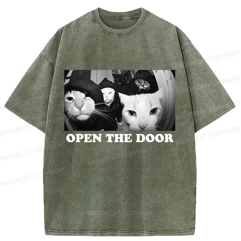 Baddiecat Sarcastic Cat Meme Washed T-shirt