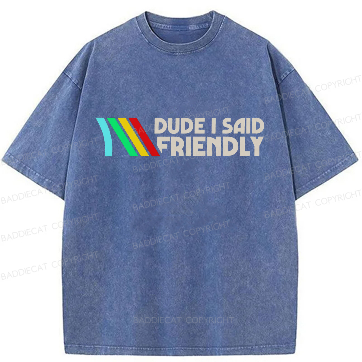 Baddiecat Dude I Said Friendly Washed T-shirt