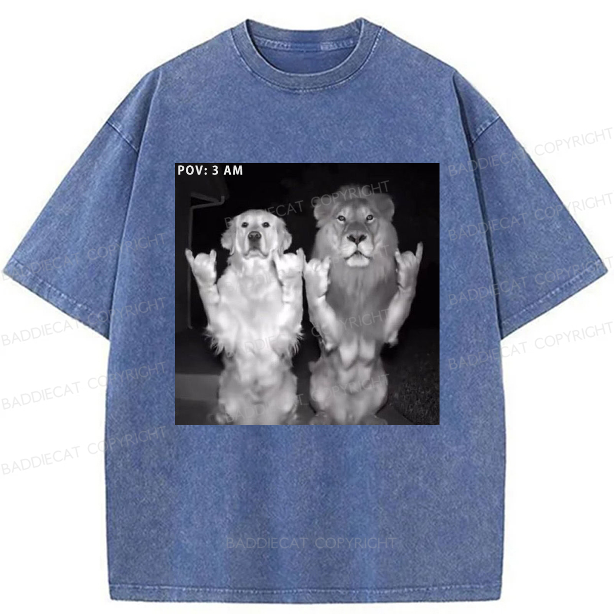 Baddiecat POV 3AM Dancing Washed T-shirt