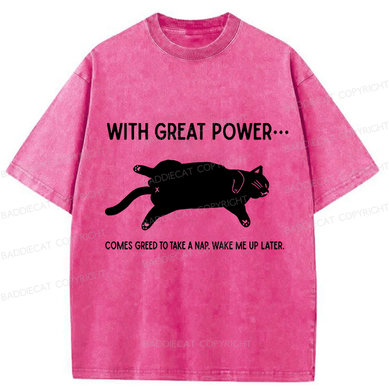 Baddiecat The Cat Is Sleeping In Washed T-shirt