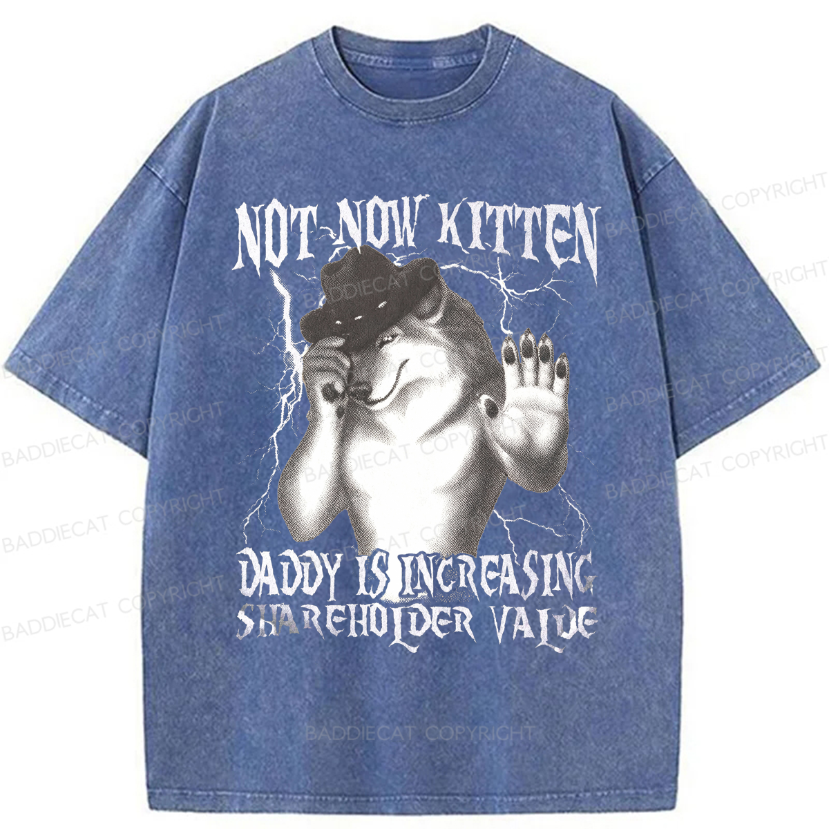 Baddiecat Not Now Kitten Daddy Increasing Shareholder Value Washed T-shirt