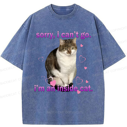 Baddiecat I'm An Inside Cat Washed T-shirt