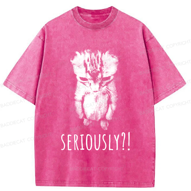 Baddiecat Seriously Cat Washed T-shirt