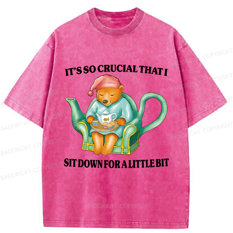 Baddiecat Need To Sit Washed T-shirt