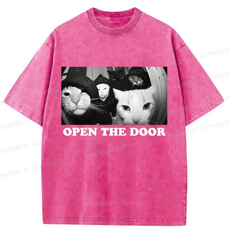 Baddiecat Sarcastic Cat Meme Washed T-shirt