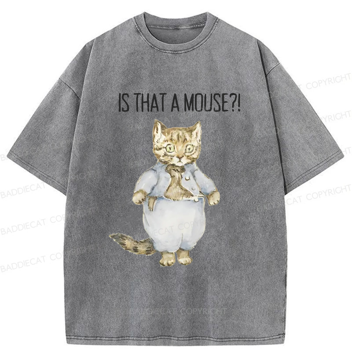 Baddiecat Startled Cat Washed T-shirt