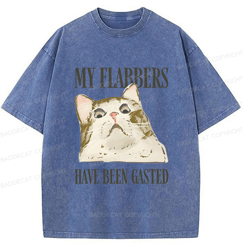 Baddiecat American Street Wear Funny Sarcastic Cat Washed T-shirt