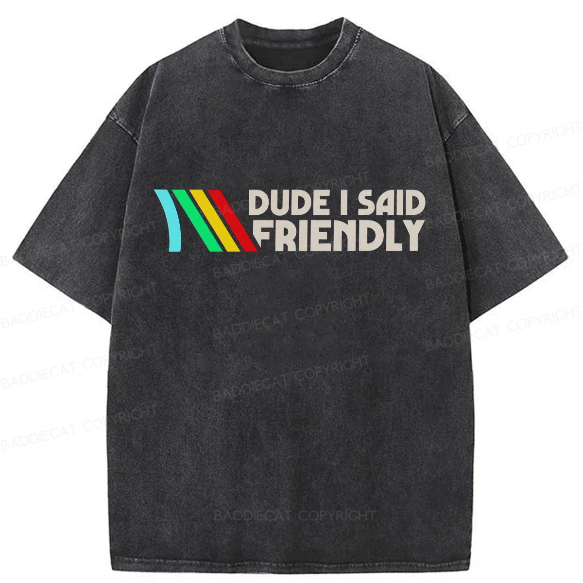 Baddiecat Dude I Said Friendly Washed T-shirt