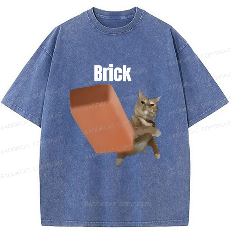 Baddiecat Brick Washed T-shirt