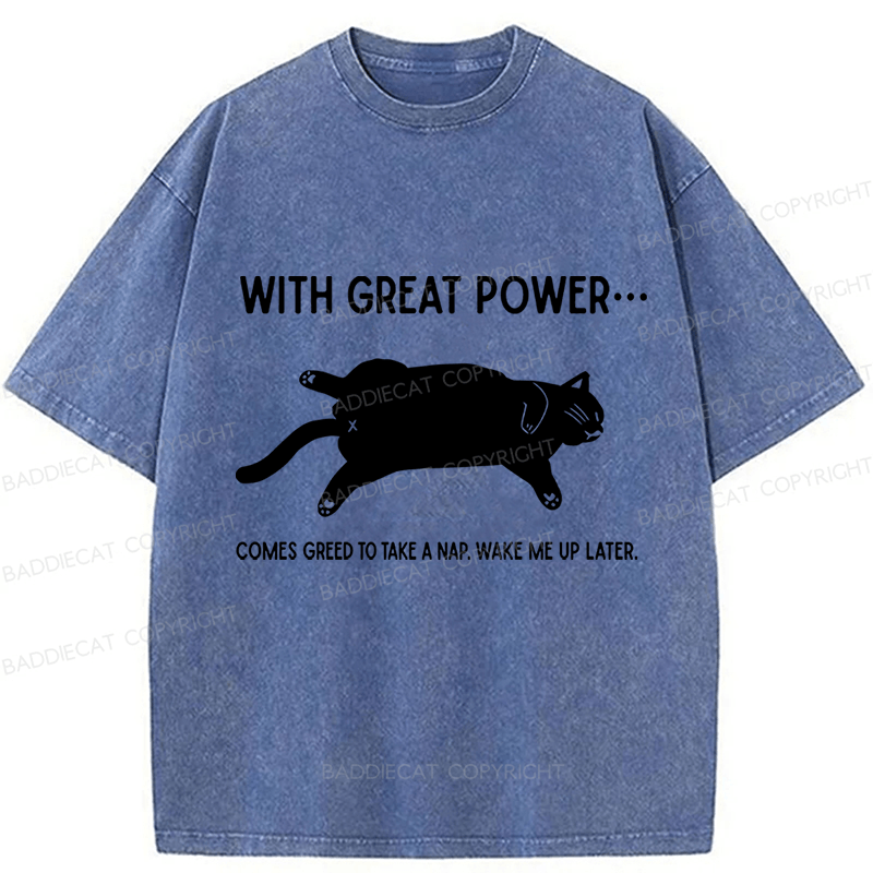 Baddiecat The Cat Is Sleeping In Washed T-shirt
