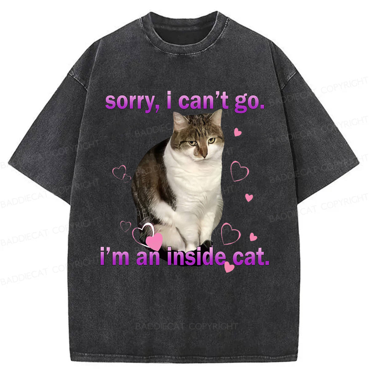 Baddiecat I'm An Inside Cat Washed T-shirt