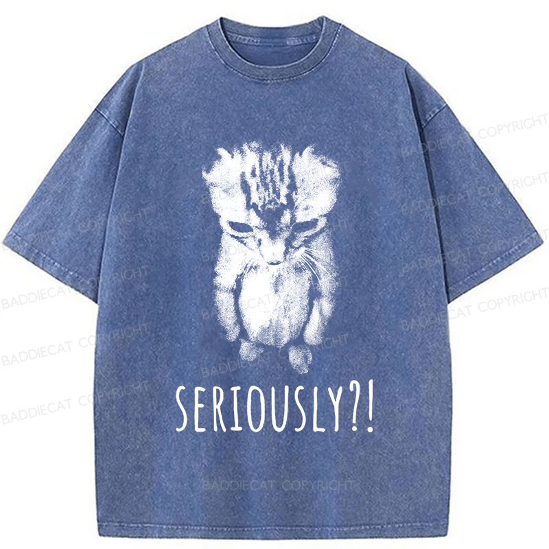 Baddiecat Seriously Cat Washed T-shirt