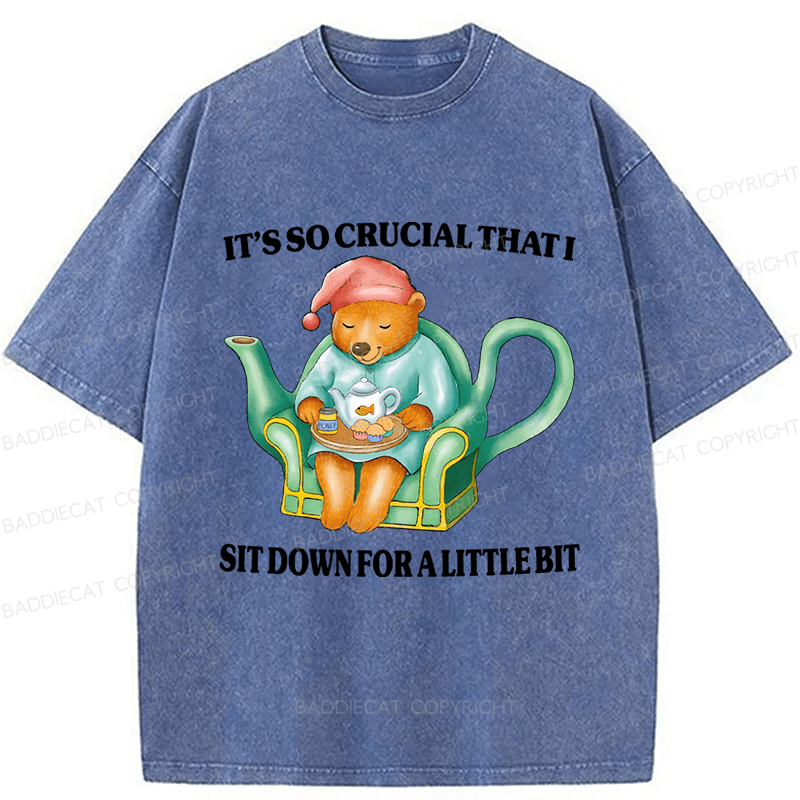 Baddiecat Need To Sit Washed T-shirt