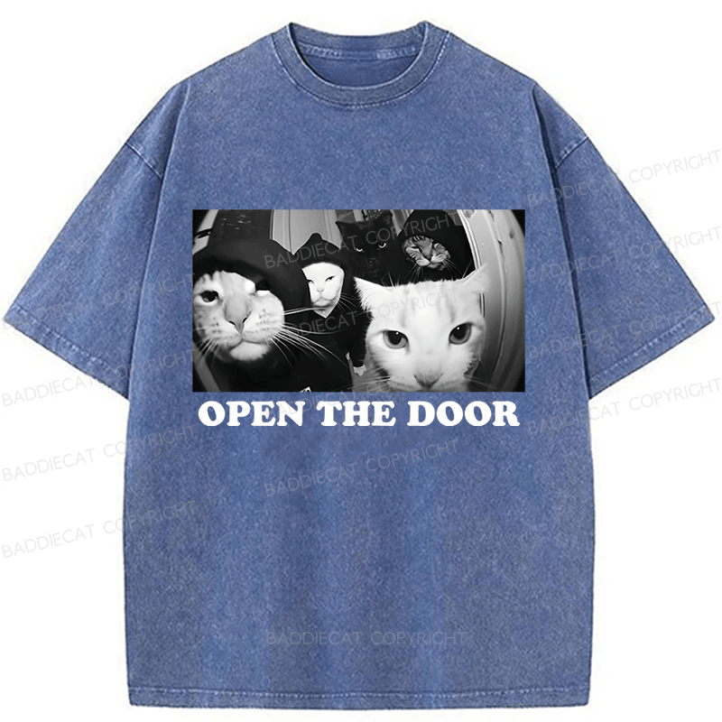 Baddiecat Sarcastic Cat Meme Washed T-shirt