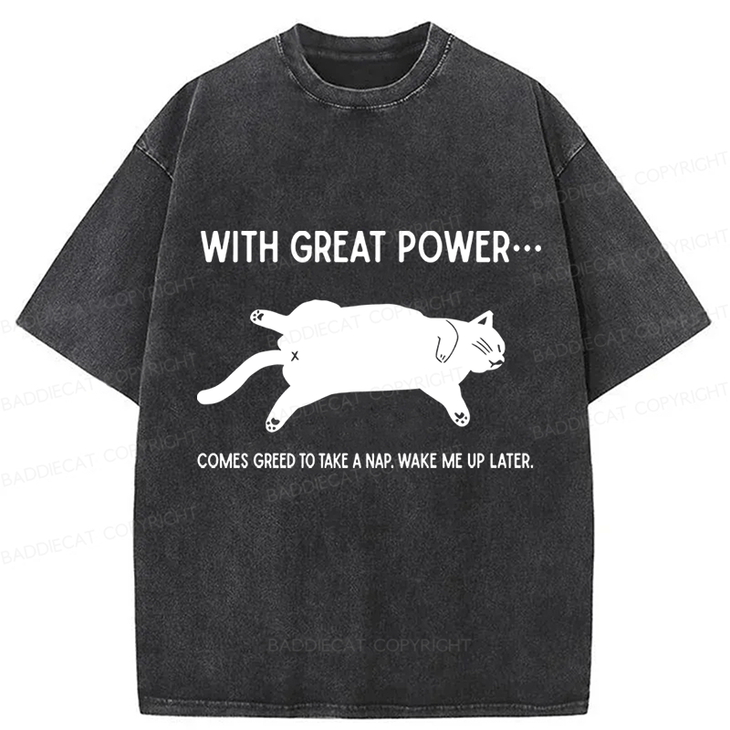 Baddiecat The Cat Is Sleeping In Washed T-shirt