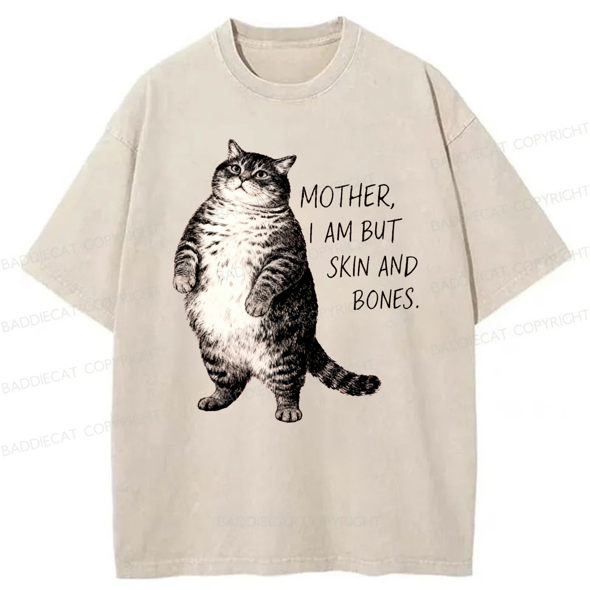 Baddiecat Overweight Cat And Its Doting Owner Washed T-shirt