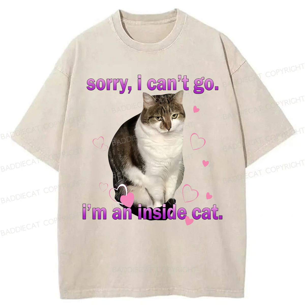Baddiecat I'm An Inside Cat Washed T-shirt